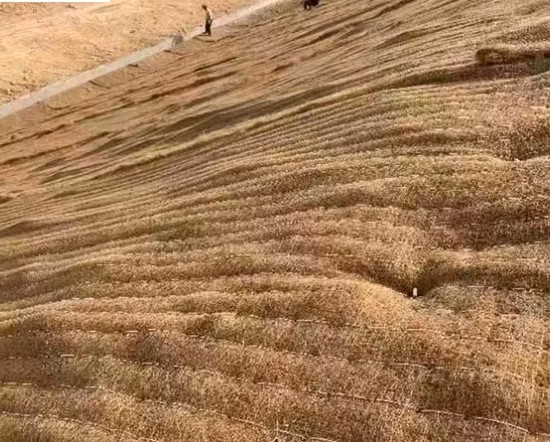 SOIL STABLIZATION