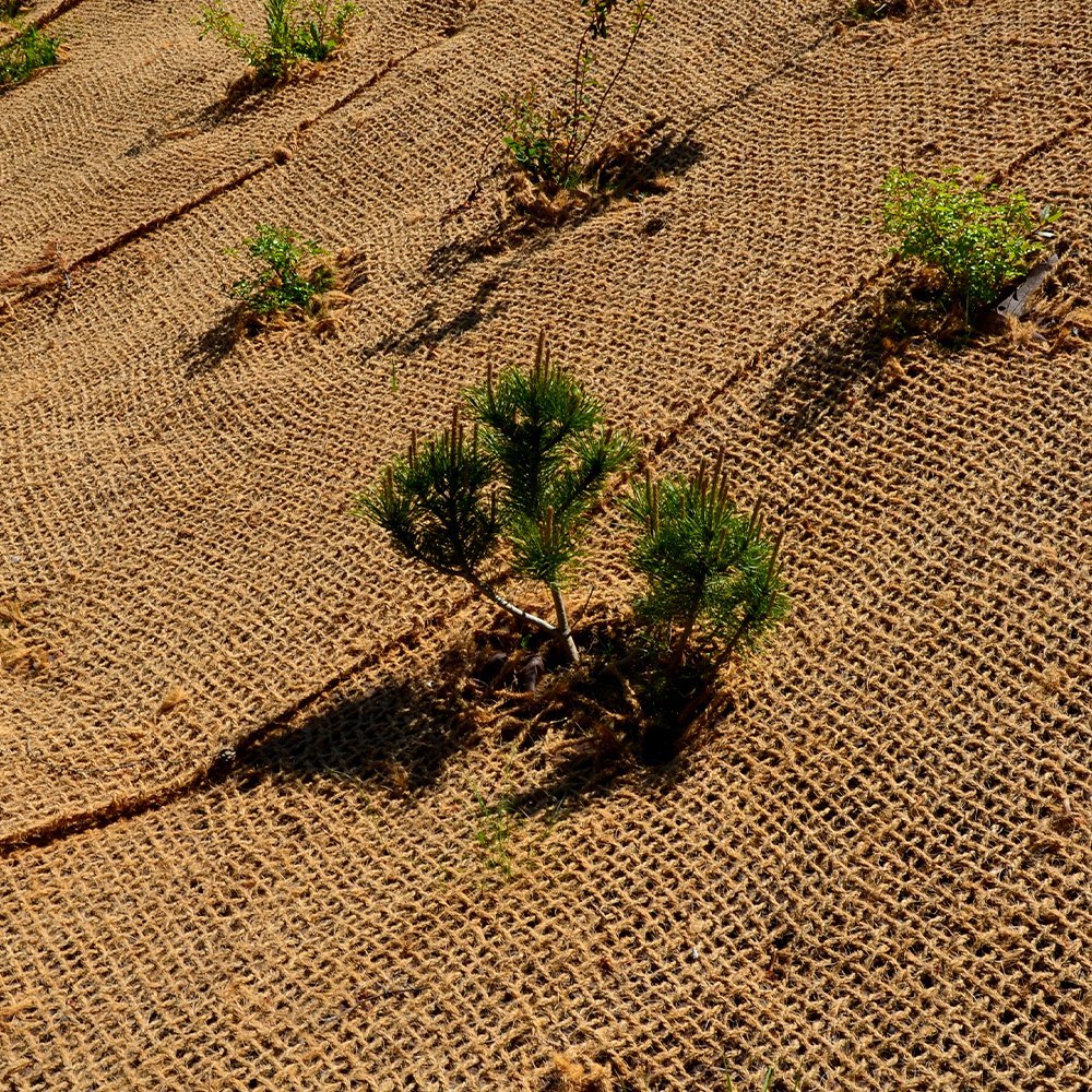 SOIL EROSION